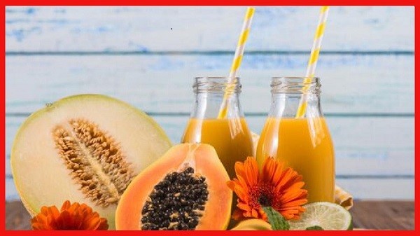 Use of Papaya Extract Powder in the Food Business.jpg